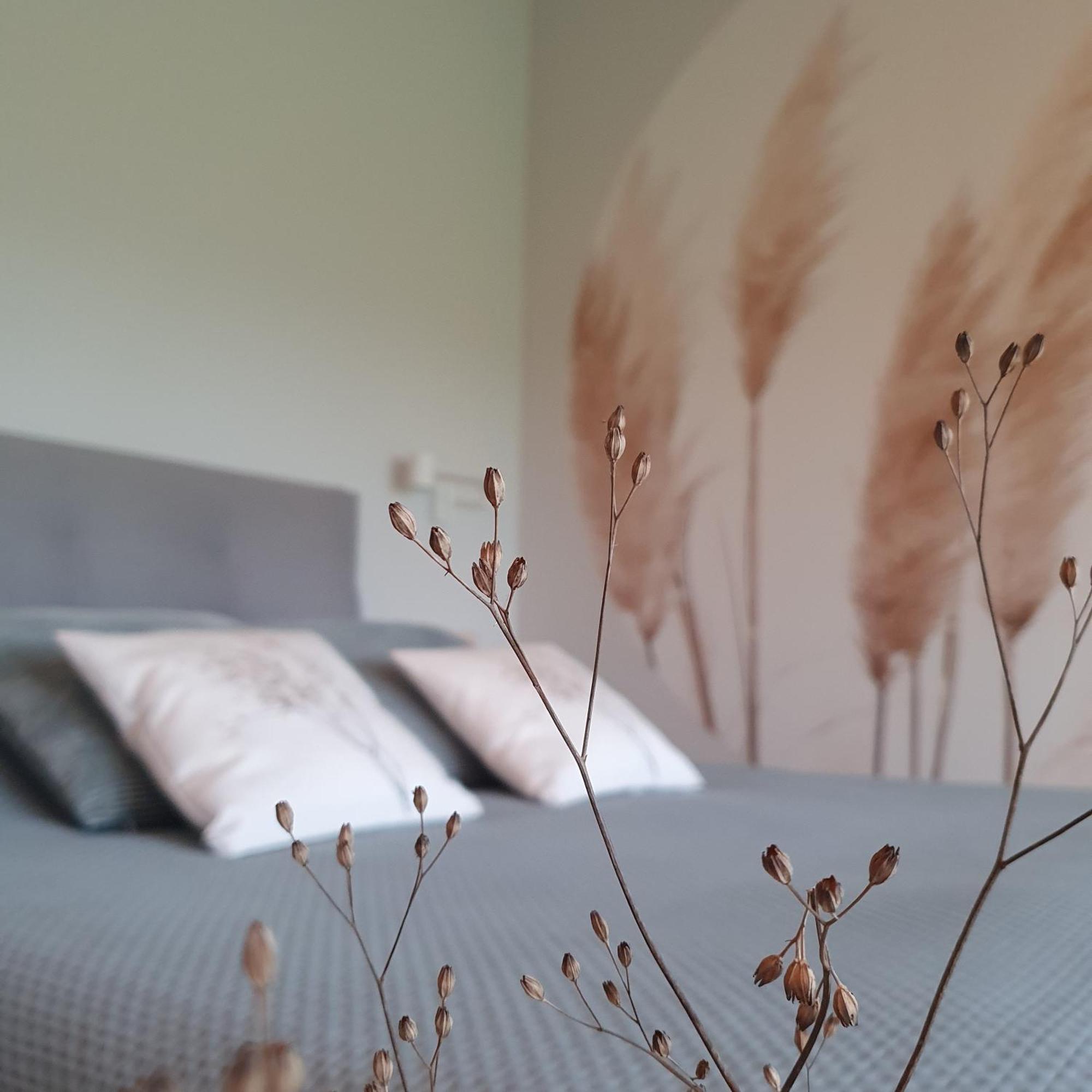 Hippe Schuur Bed and Breakfast Tytsjerk Buitenkant foto
